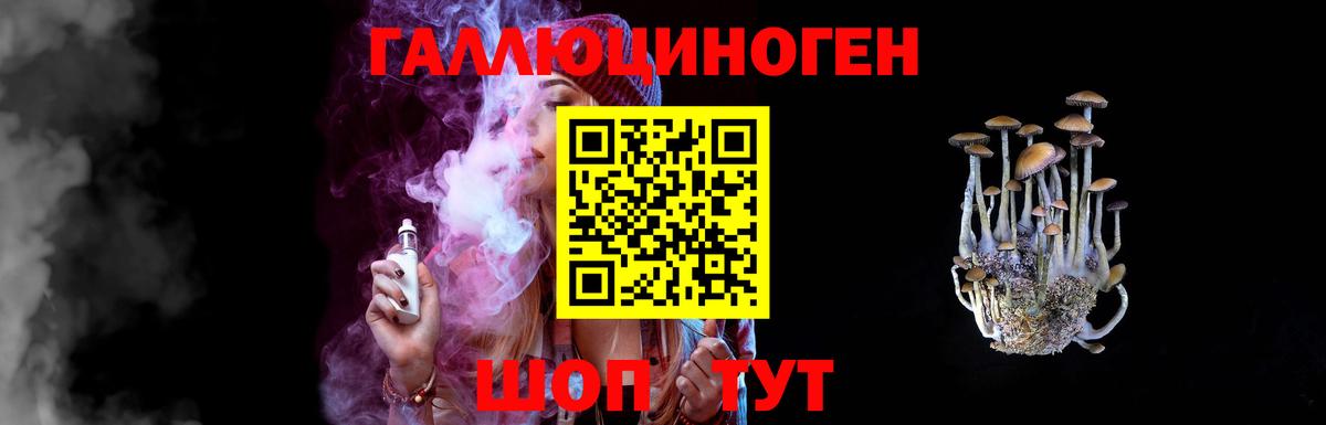 купить наркотики цена  Вход с VPN  Малгобек  Галлюциногенные грибы Cubensis  Псилоцибиновые грибы Cubensis 